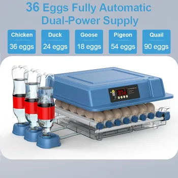 Инкубатор на 36 Яйца С Подвижни Мини Инкубатор за Яйца С Автоматично Презареждане Йонна Вода И Контрол на Температурата Изображение