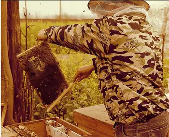 67 g x 35 бр./кор. 41,5x19,5 см преграда от пчелен восък, Очна камера 4,75 мм, инструменти за пчеларството № TXF-1024 Изображение